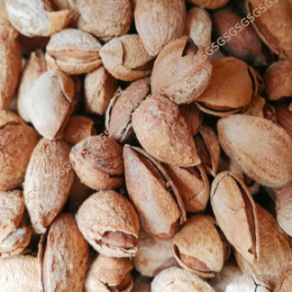 Almonds Whole Inshell