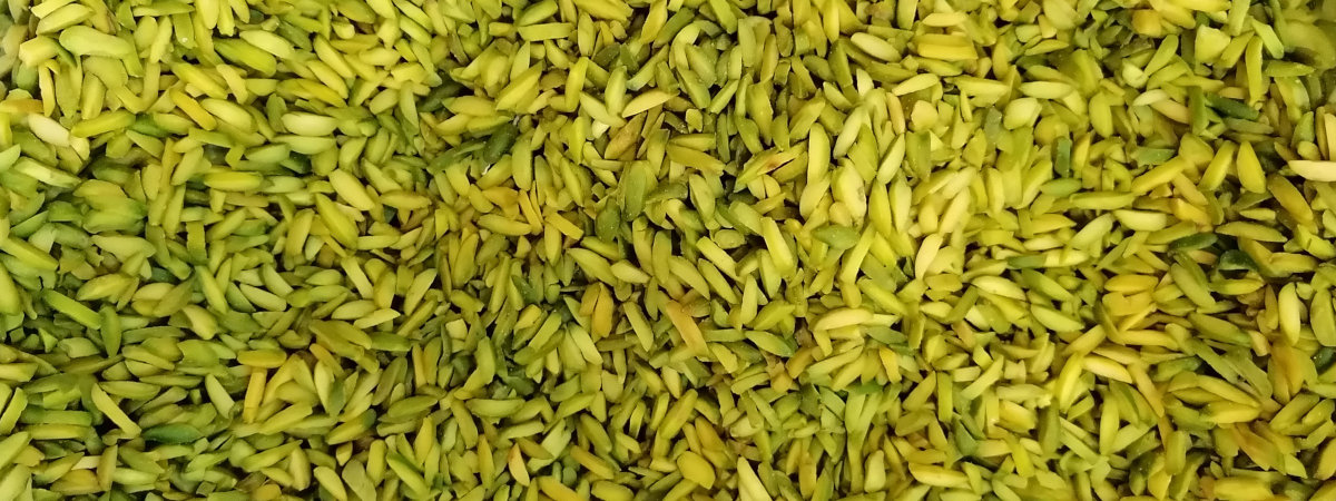 Nuts Dry Fruits For Bakery & Pastries