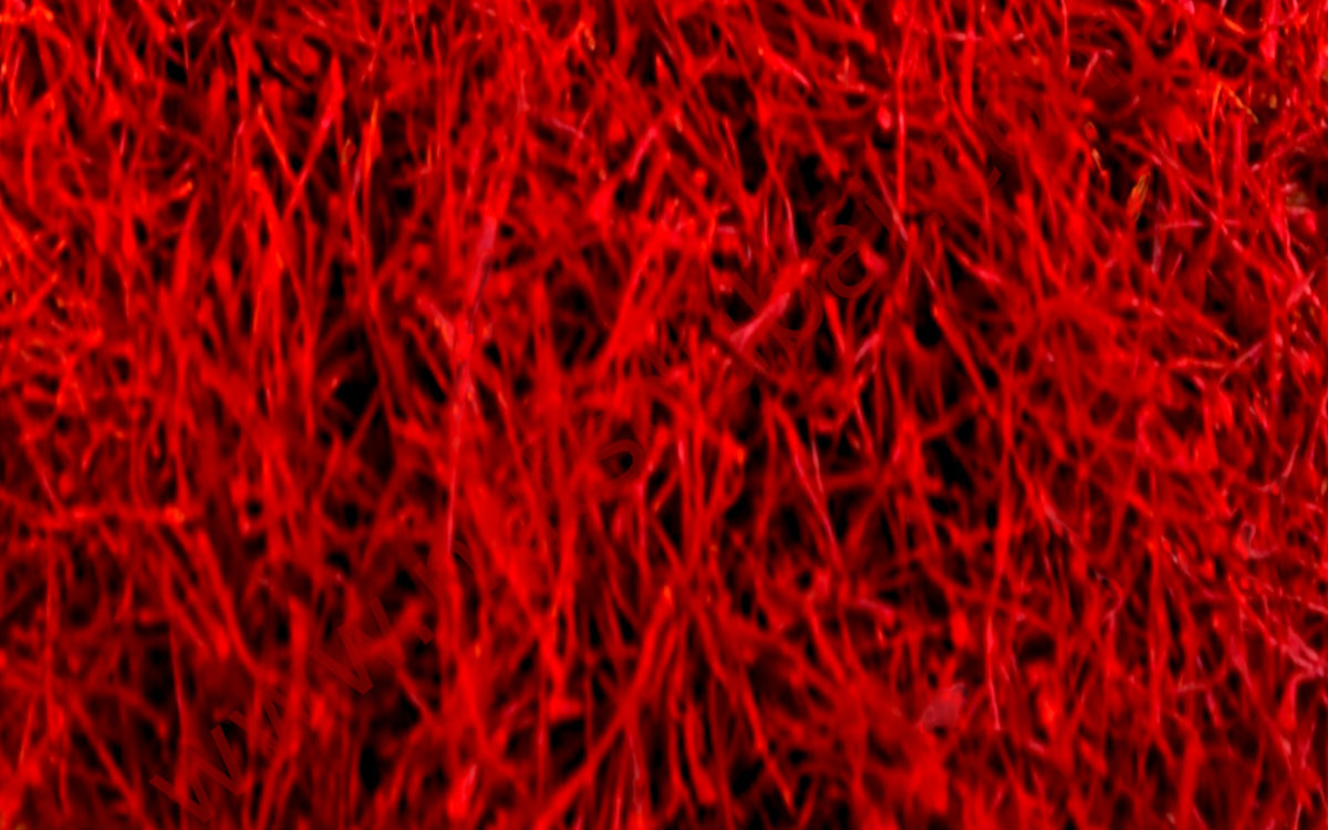 Saffron Negin bn