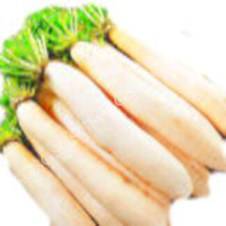 Radish -Aaramfoods