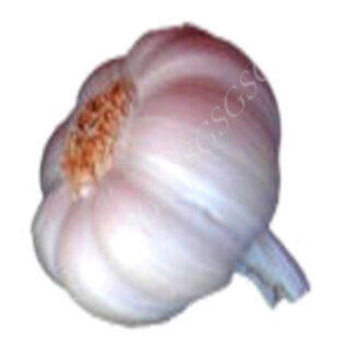 Garlic - Aaramfoods