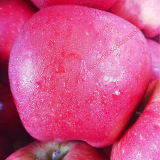 Apples Fresh Aaramfoods