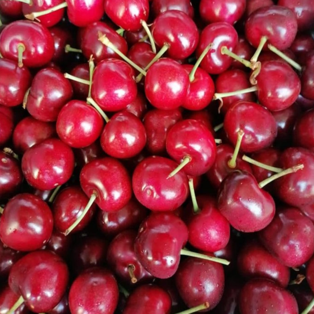 Cherry Fresh - Aaramfoods