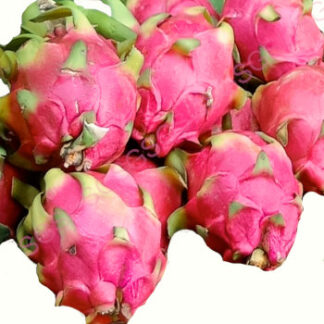 Dragon Fruit Fresh - Aaaramfoods