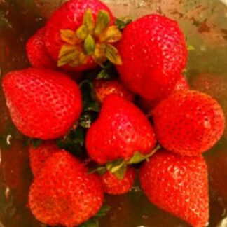 Strawberry Fresh Aaramfoods
