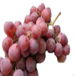 Grape Black Seedless - Aaramfoods