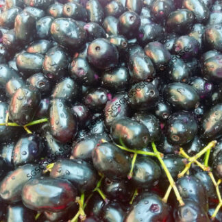 Jamun Fresh Indian