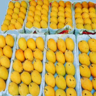Mango Ripe - Aaramfoods