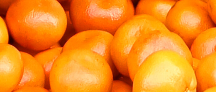 Orange Fresh - Aaaramfoods