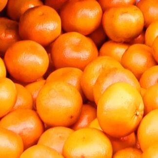 Orange Fresh - Aaaramfoods