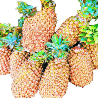 Pineapples Fresh Aaramfoods